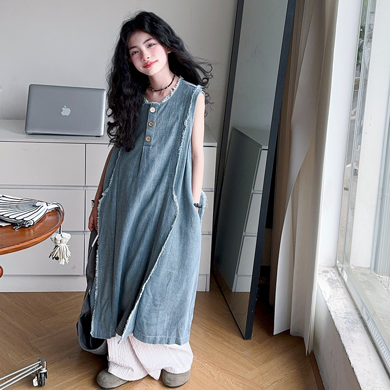 Gaun Denim Musim Panas Mewah A - Street Fashion Girl ulasan dan harga